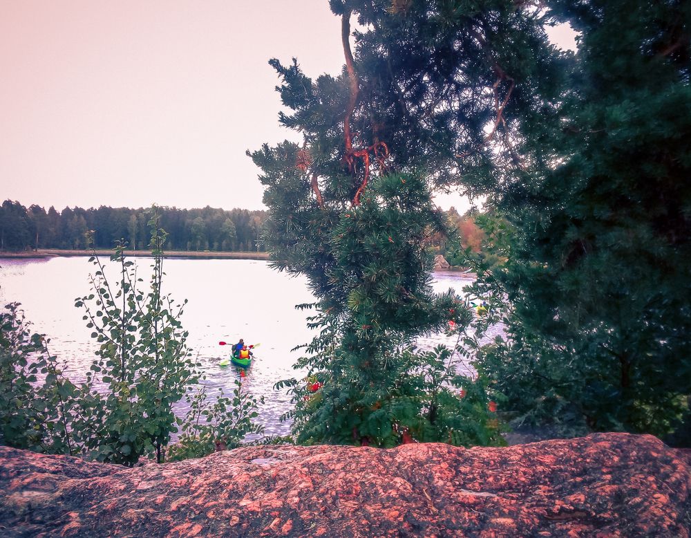 Photo #7297465