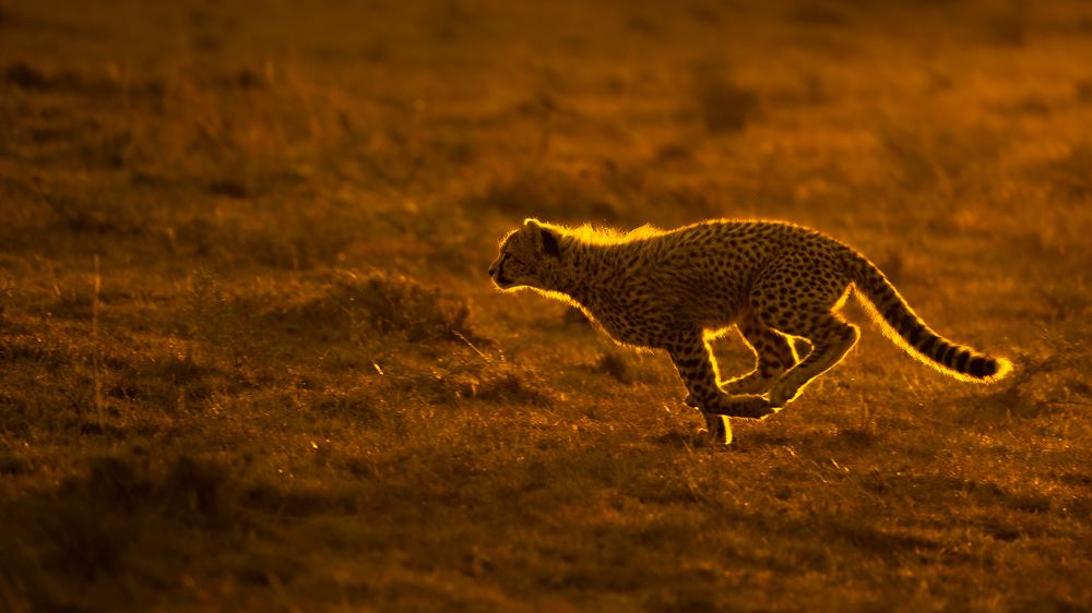 Photograph by Jayakumar MN