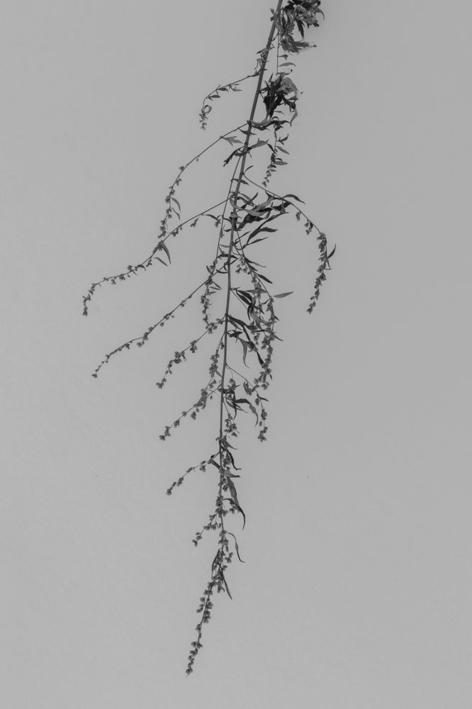 Photograph by Ронинсон Михаил