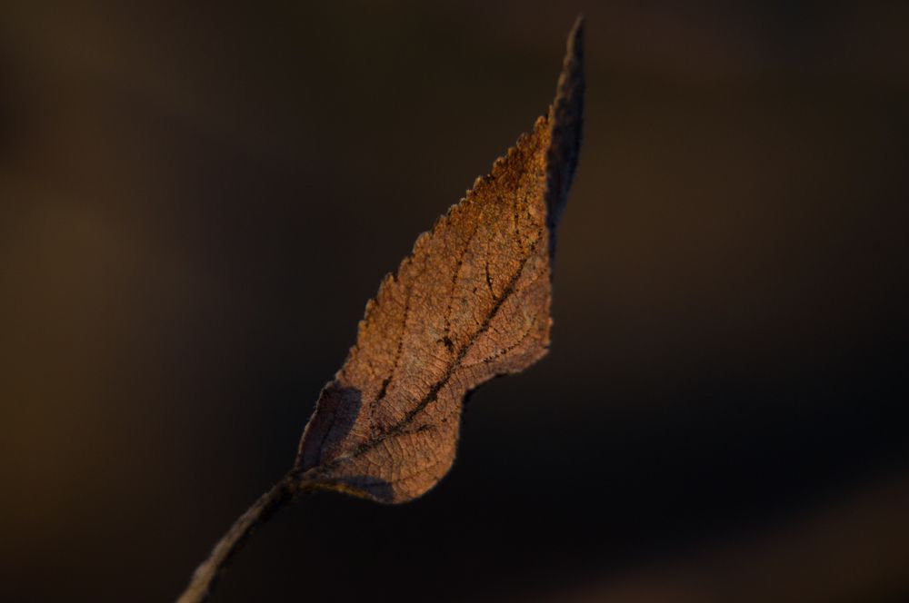 Photograph by Валерія Колосович