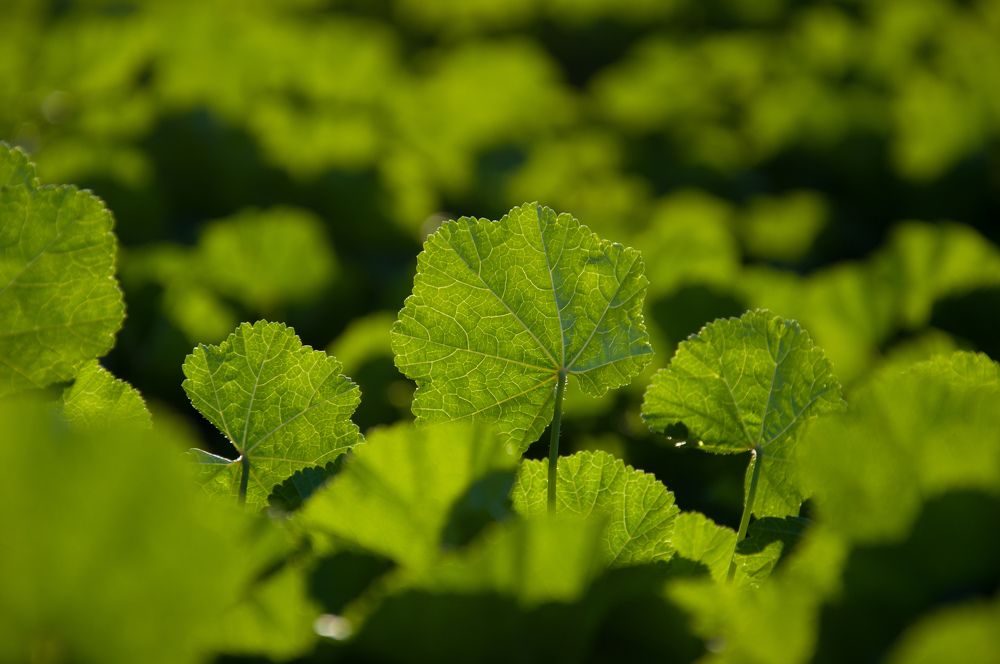 Photograph by Валерія Колосович