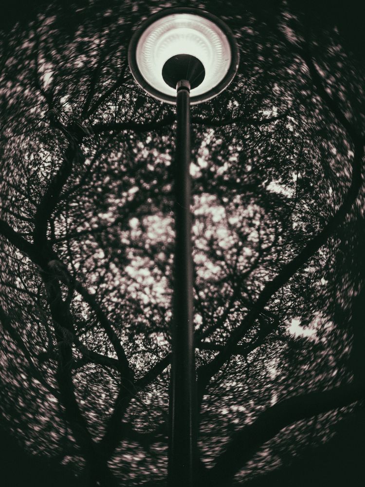 Photograph by Alexandre Chaym