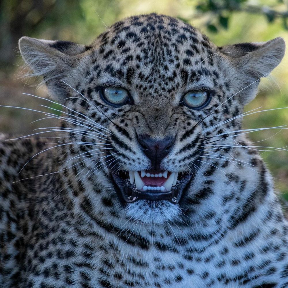 Photograph by Dunna Sai Ganesh