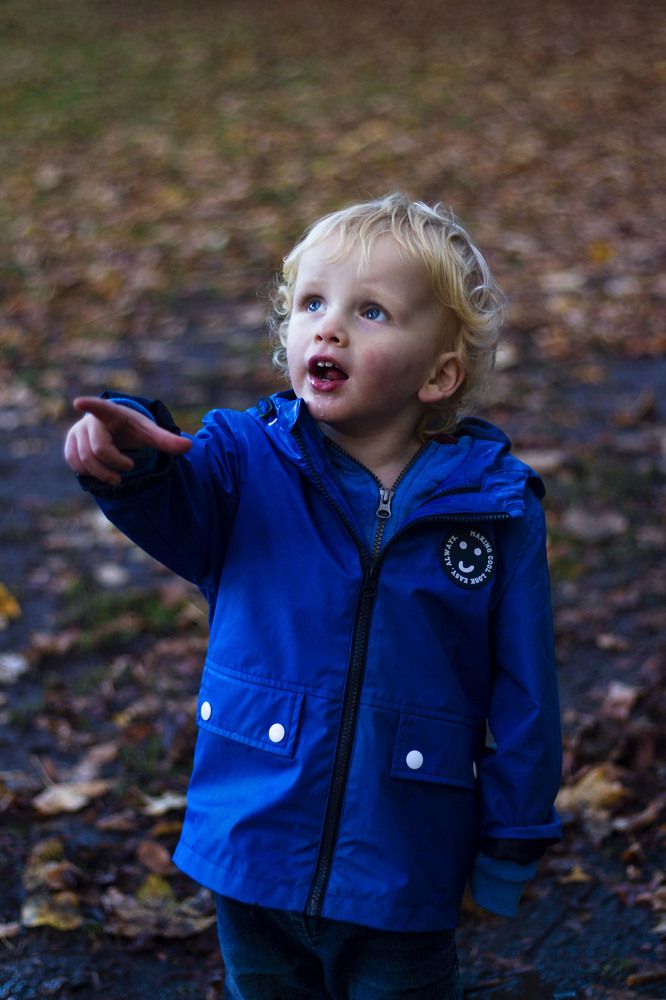 Photograph by Subhasis Paul