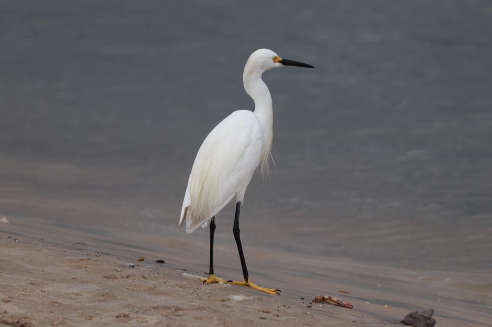 Photograph by Ruy Beck