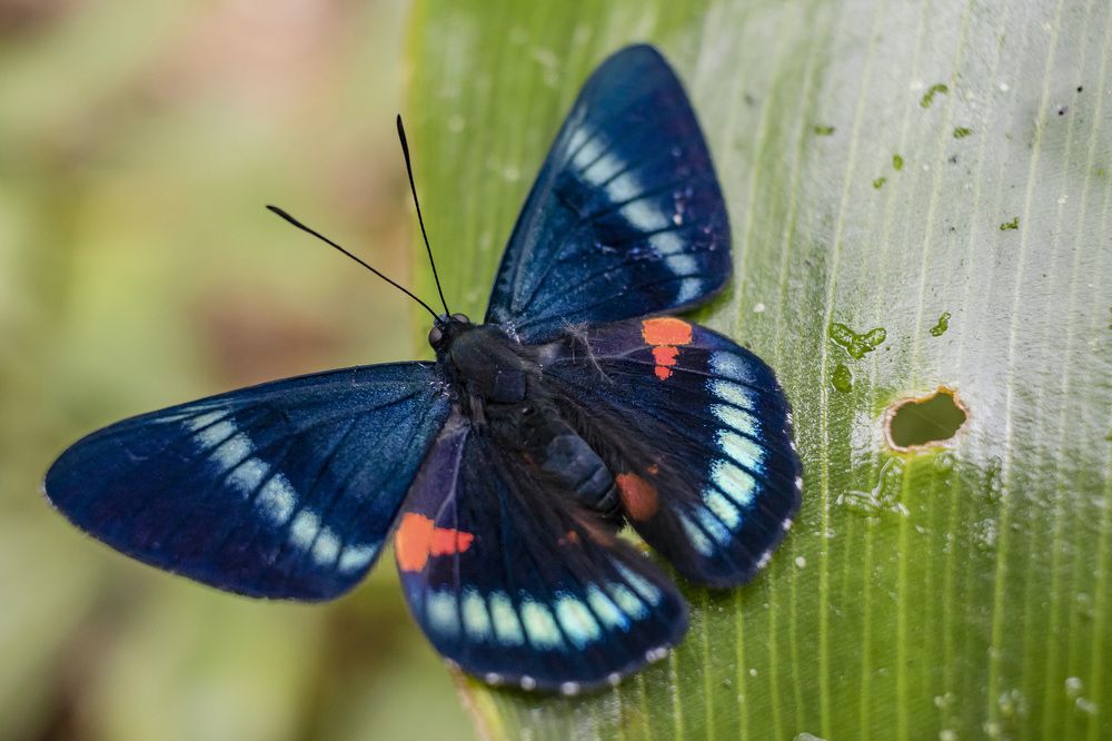 Photograph by Maria de los Angeles Osorio