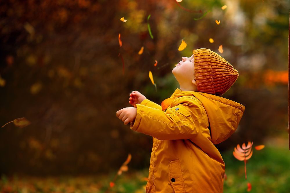 Photograph by Таня Бережная