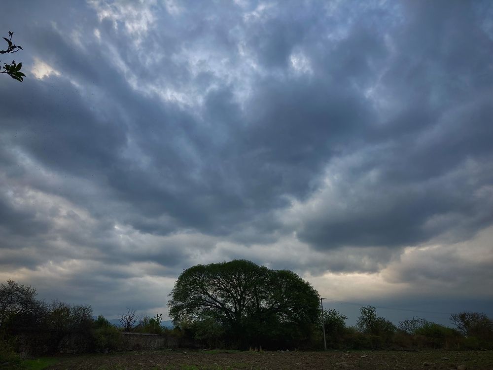 Photograph by Carlos Cab