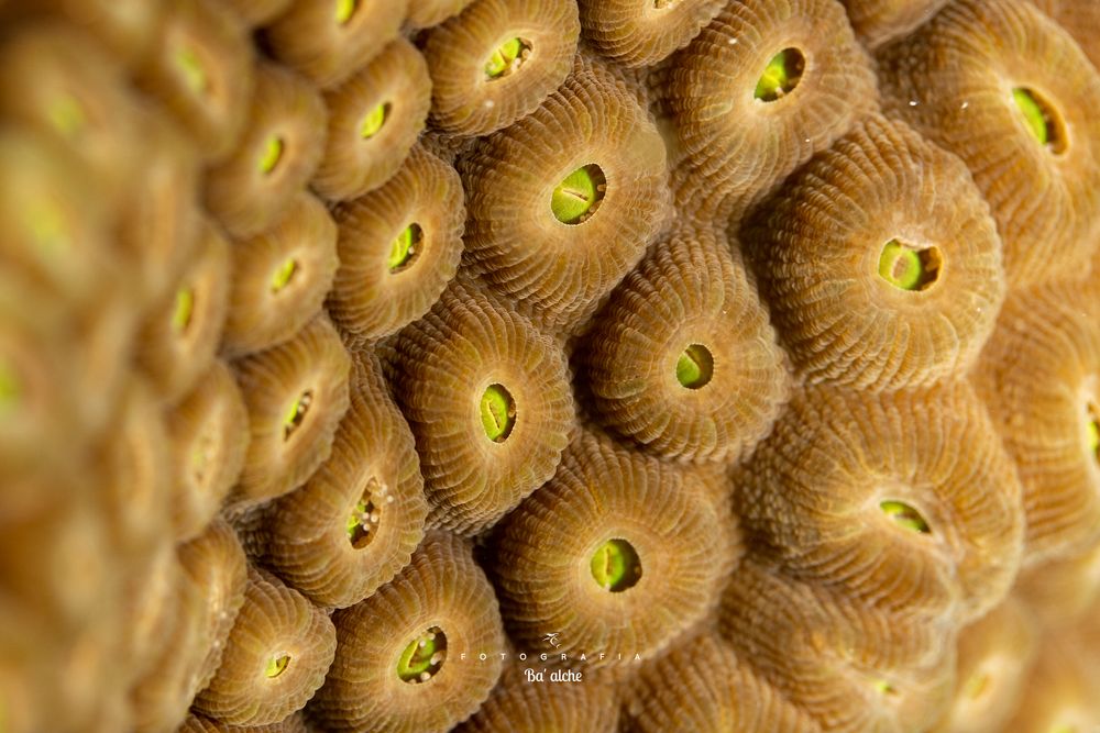 Photograph by Mizael Palomeque