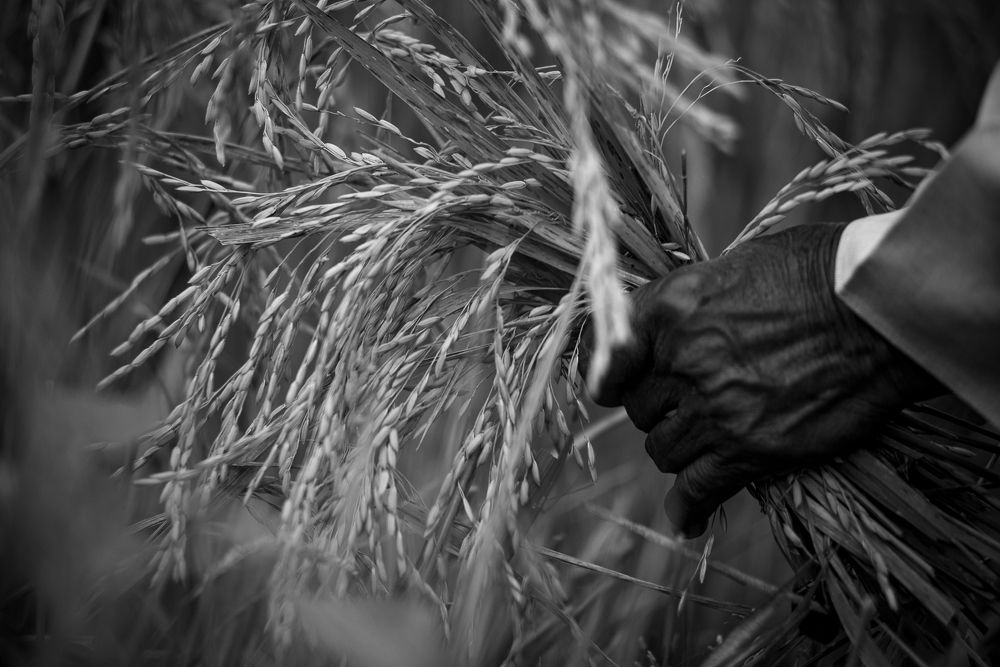 Photograph by HASHIM GOMBRI