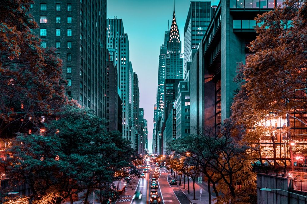 Фотография автора eric fonseca