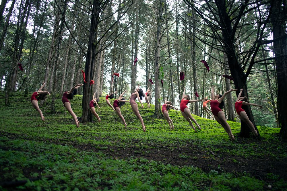 Photograph by Jose Pablo Garcia