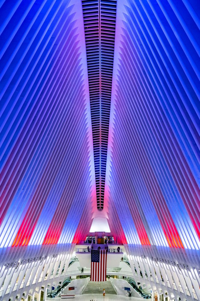 Фотография автора eric fonseca