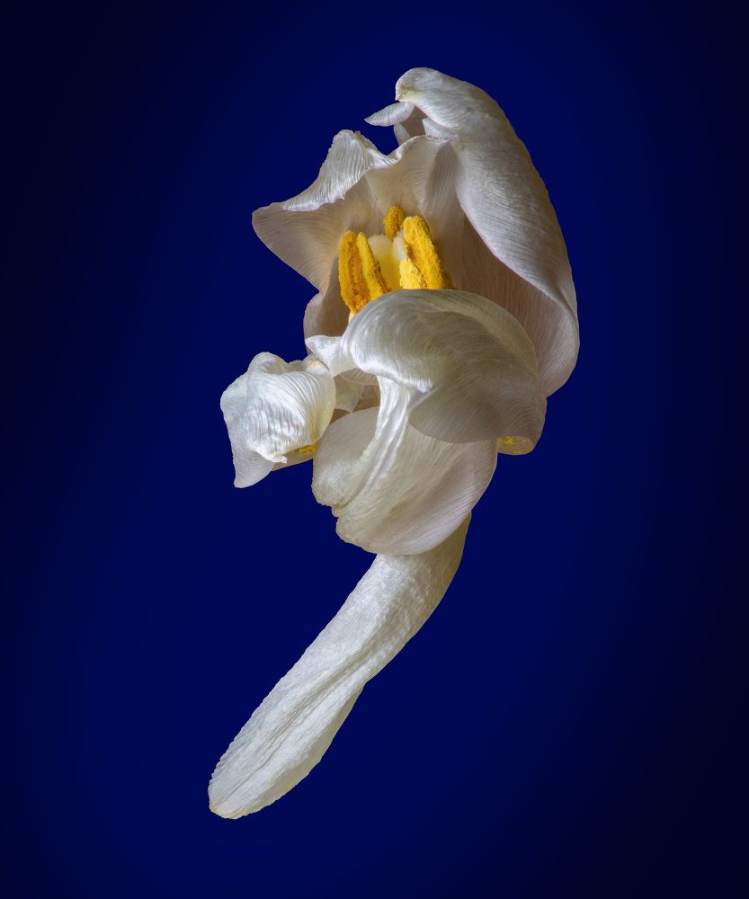 Photograph by Андрей Трубачев