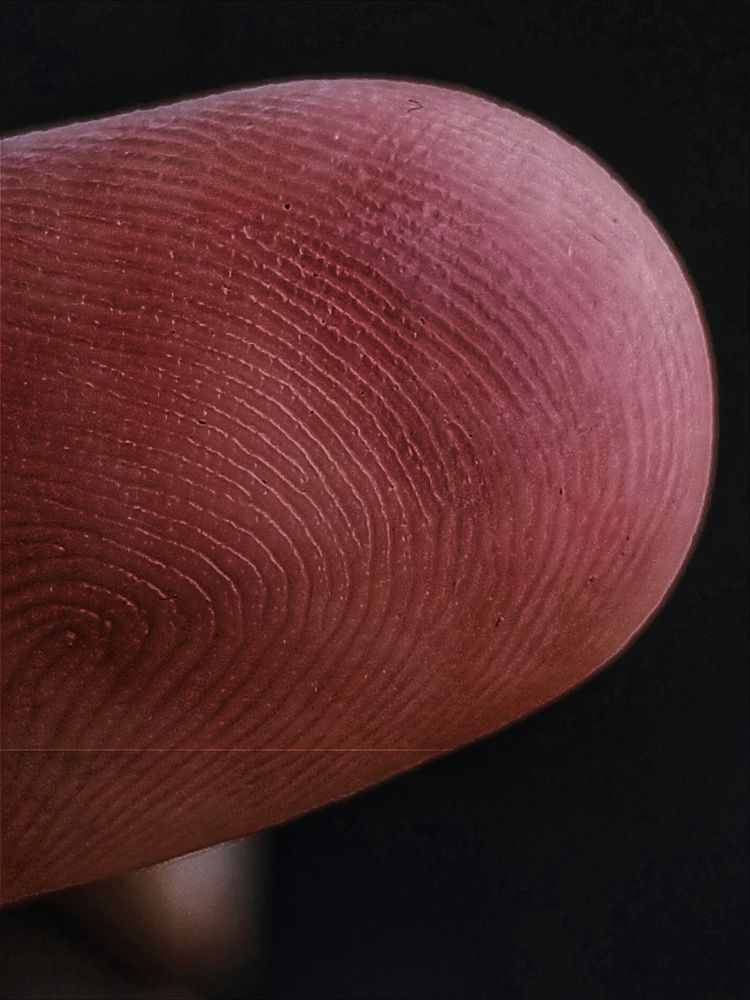 Photograph by Márcio Silva