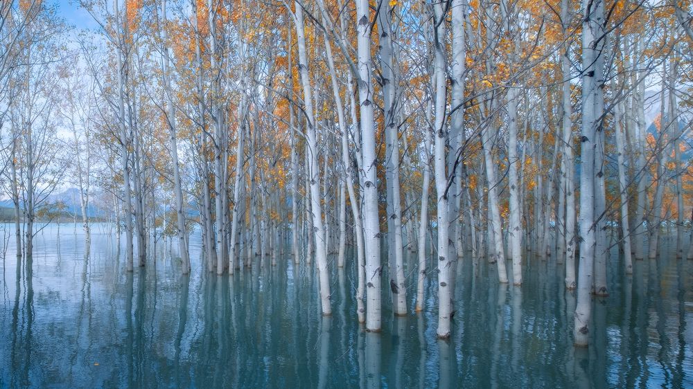 Photograph by Evgeny Chertov