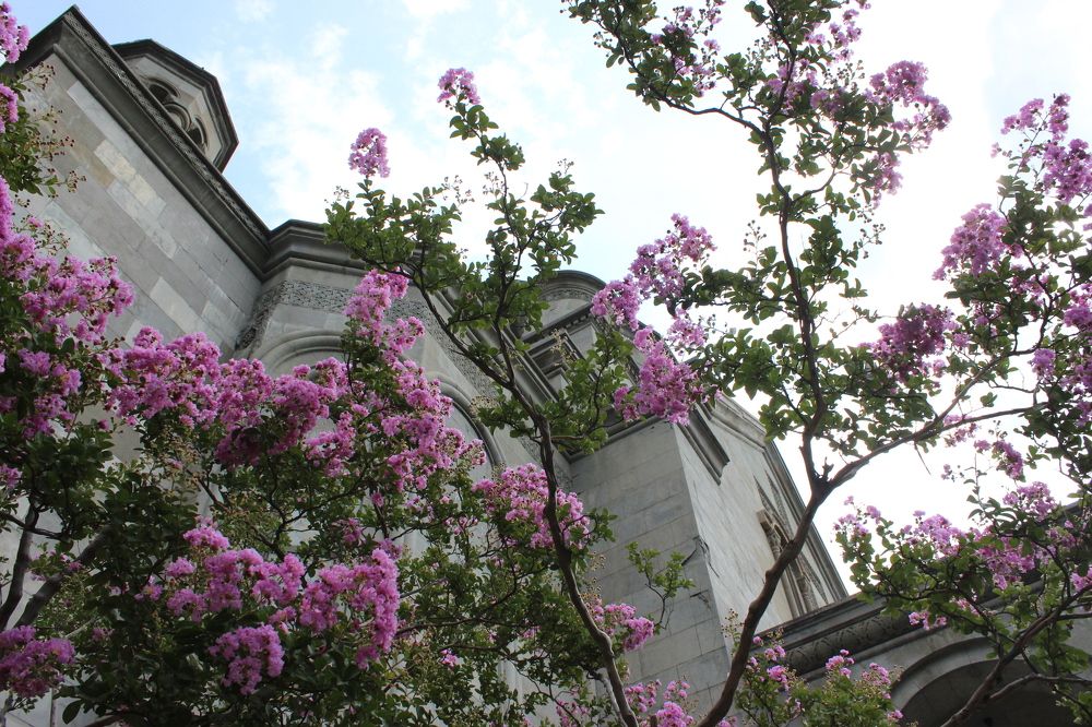 Photograph by Anastasia Kodatenko