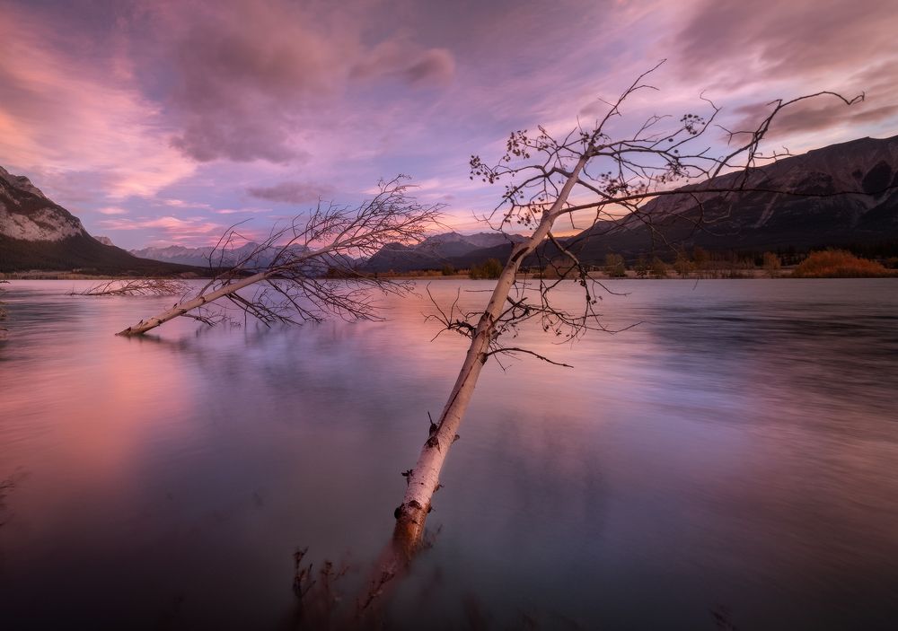 Photograph by Evgeny Chertov