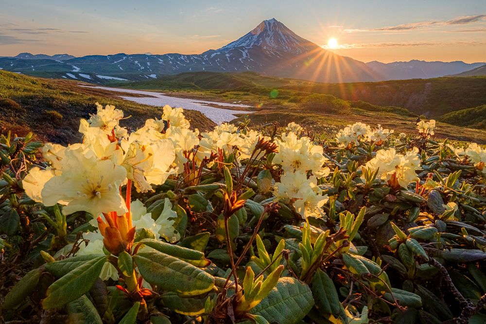 Photograph by Денис Будьков