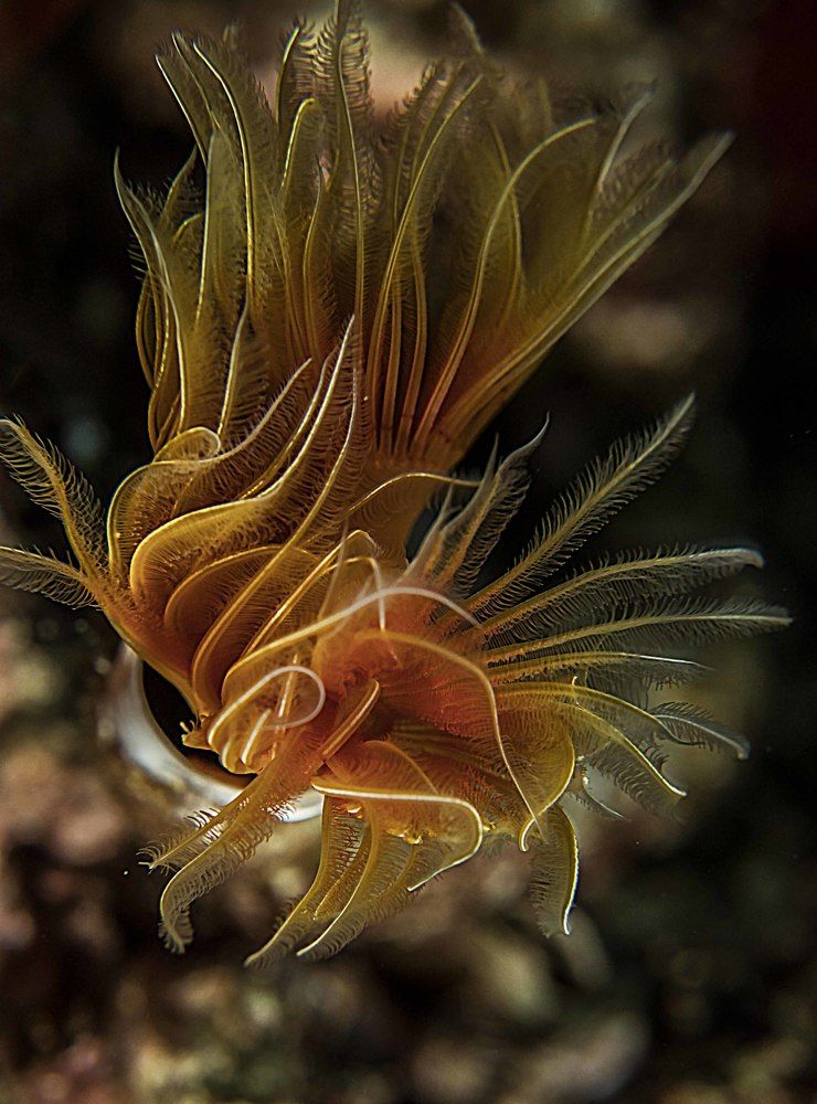 Photograph by Deniz muzaffer Gokmen