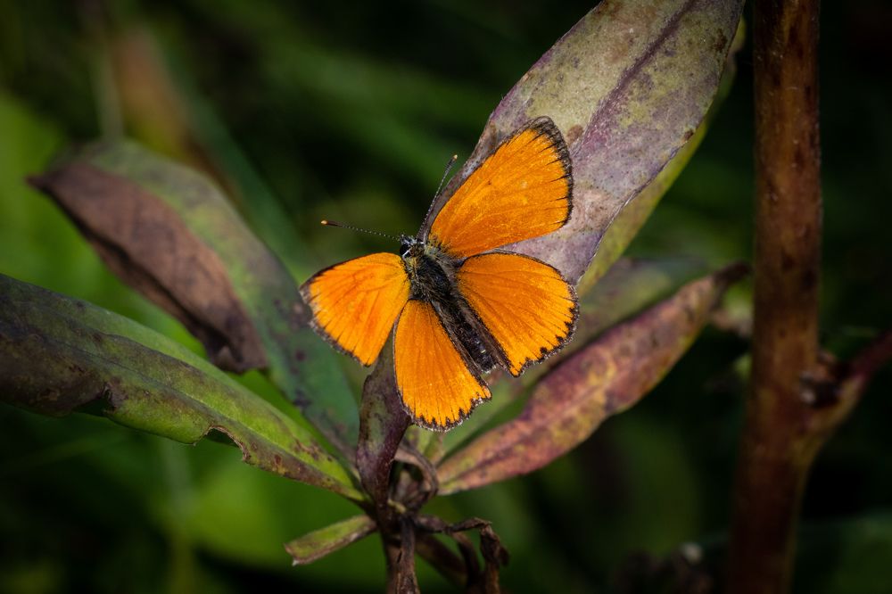 Photograph by Евгений Михеев