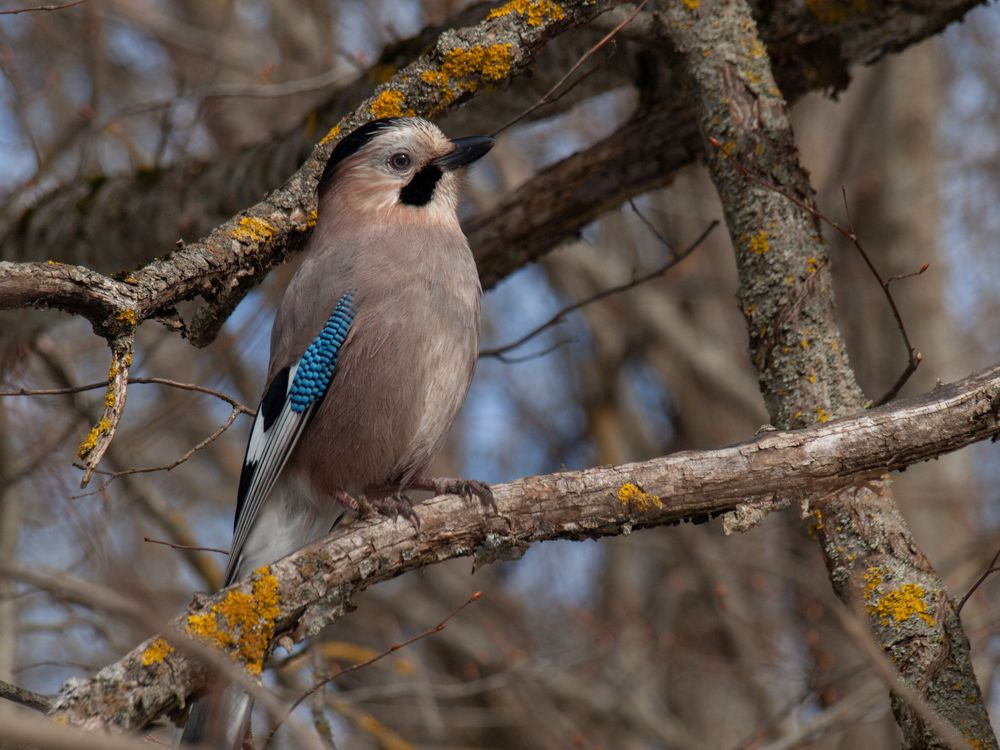 Photograph by Виталий Маслов