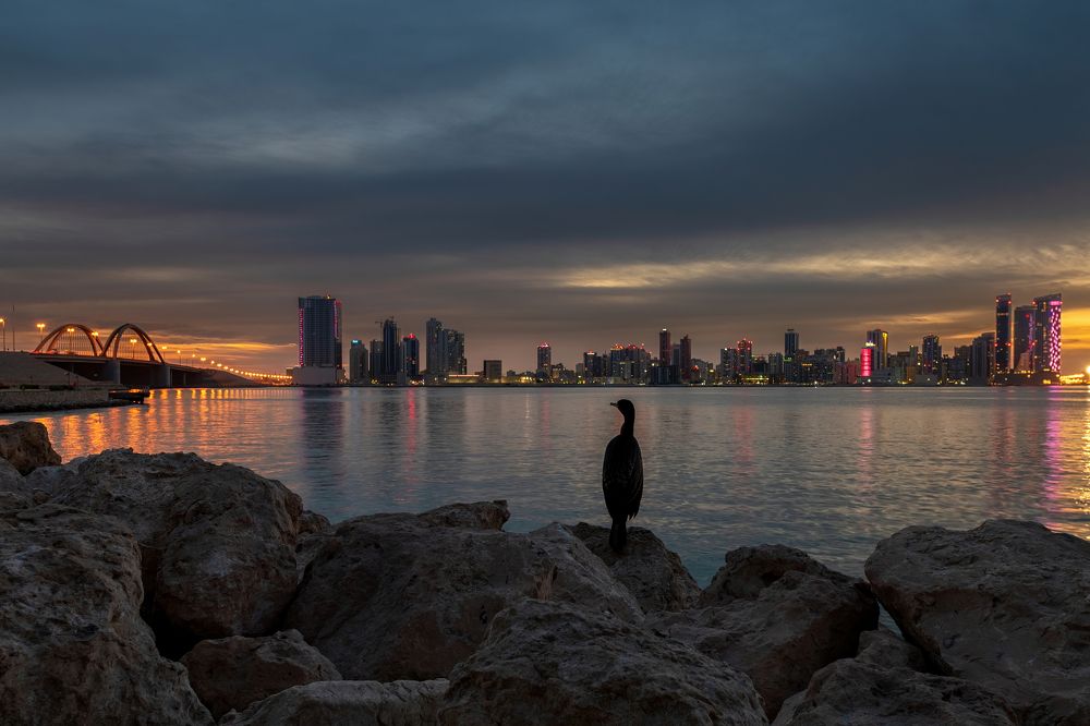 Photograph by Imthiyas Khan