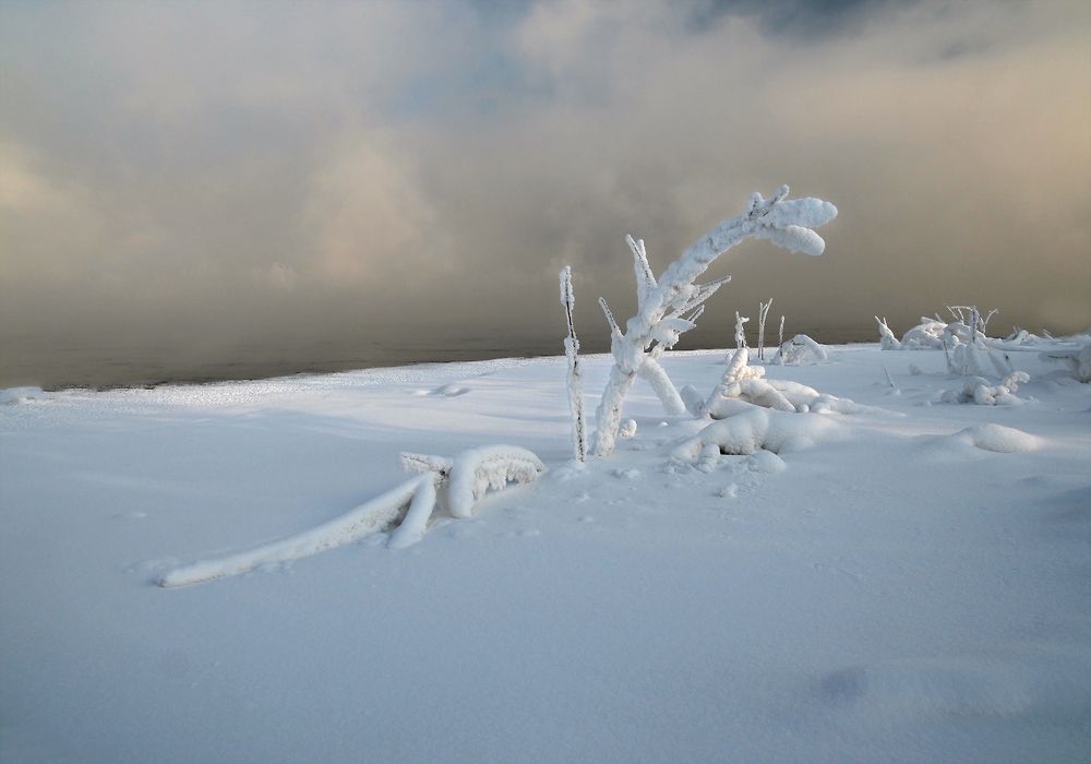 Photograph by Александр Попов