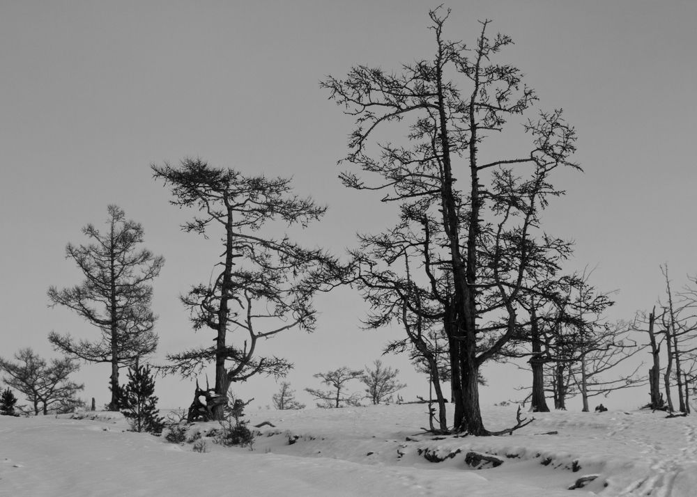 Photograph by Алёна Гильмуллина