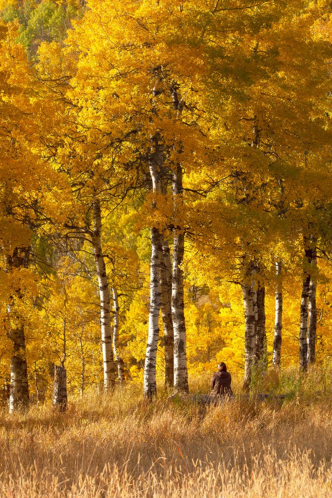 Photograph by Evgeny Chertov