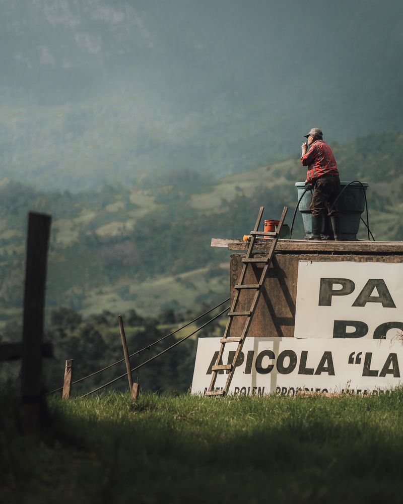 Photograph by Alex Odom-Tomchin