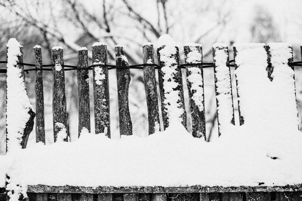 Фотография автора Алина Филатова