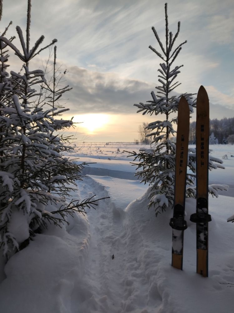 Photograph by Александр