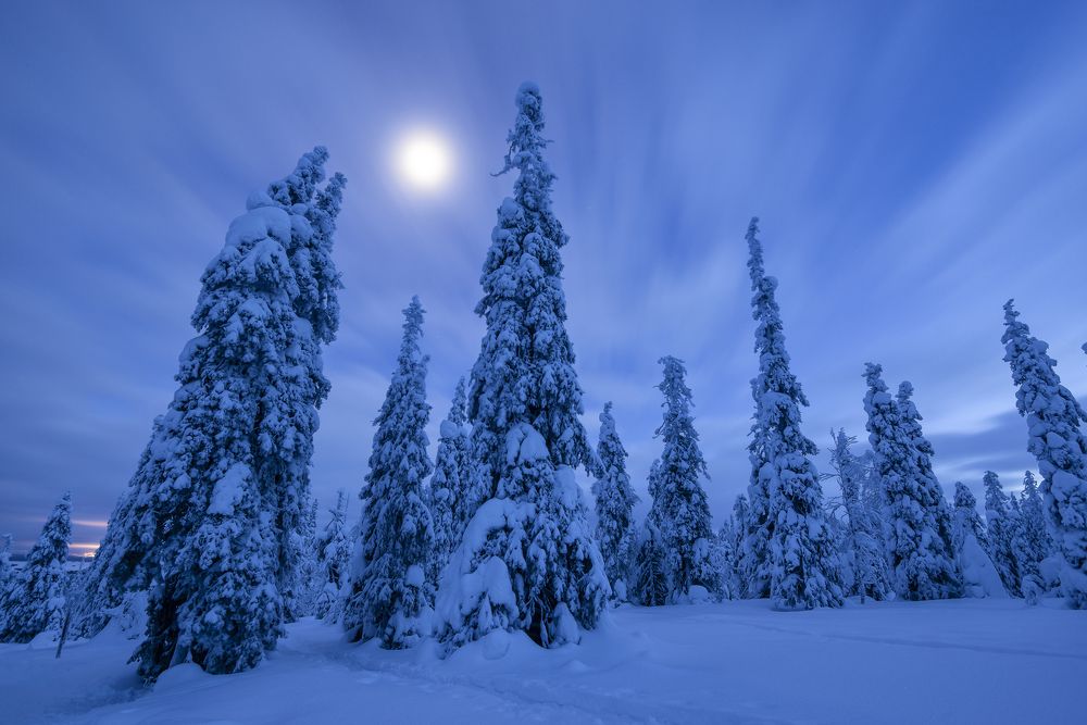 Photograph by Razvan Iliescu