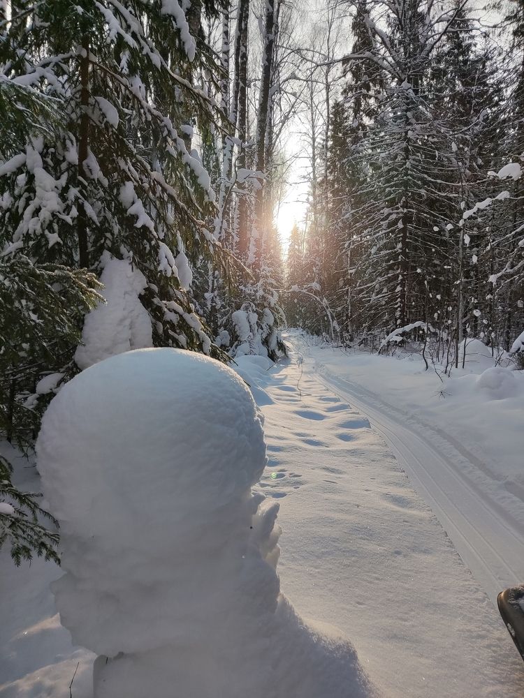 Photograph by Александр