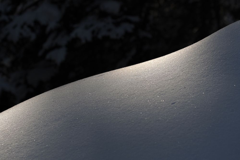 Photograph by Александр Попов