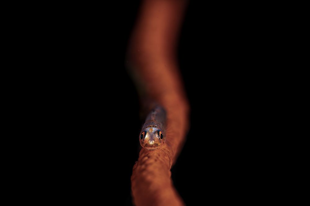 Photograph by Sultan Althahab