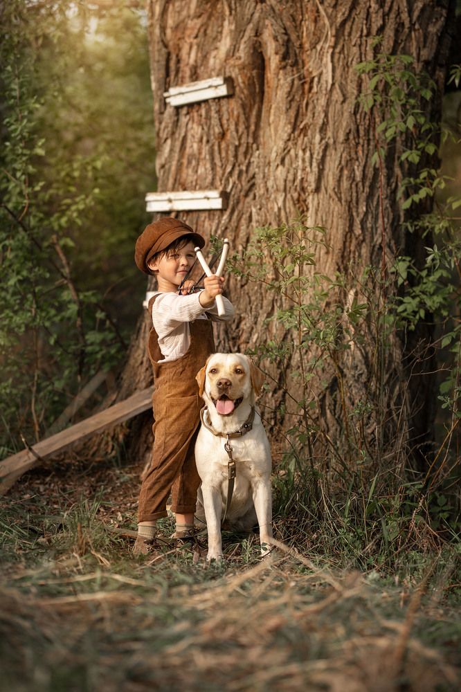 Домик на дереве