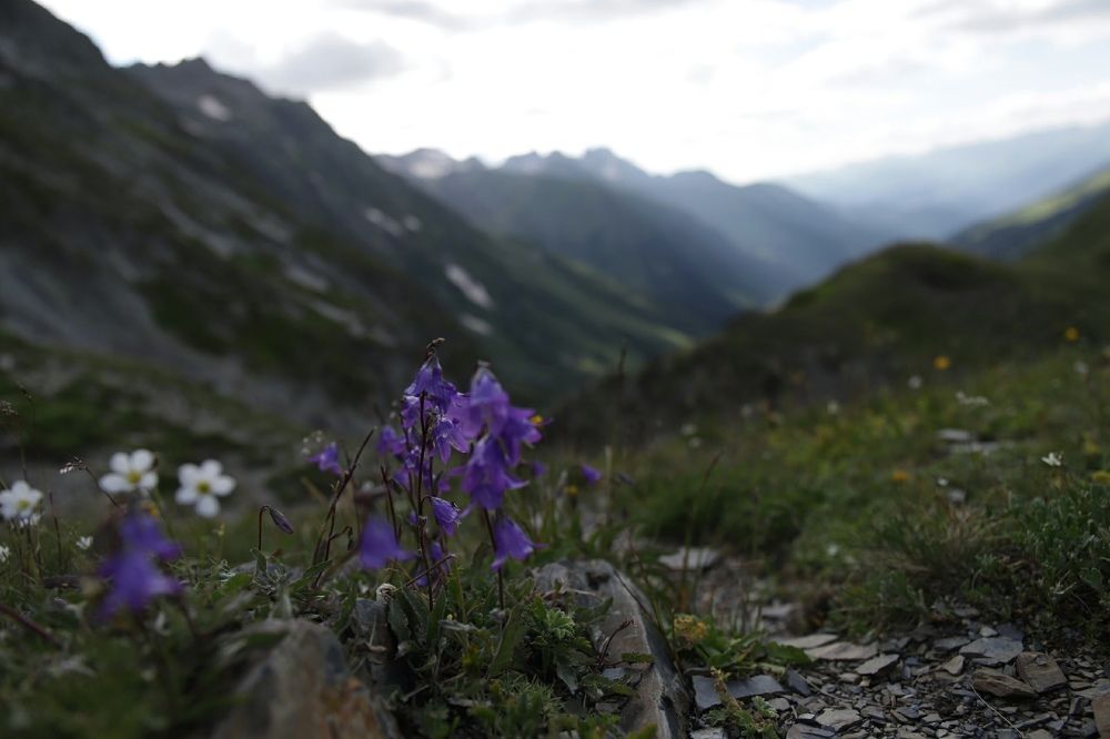 Photograph by Надя Джикурашвили