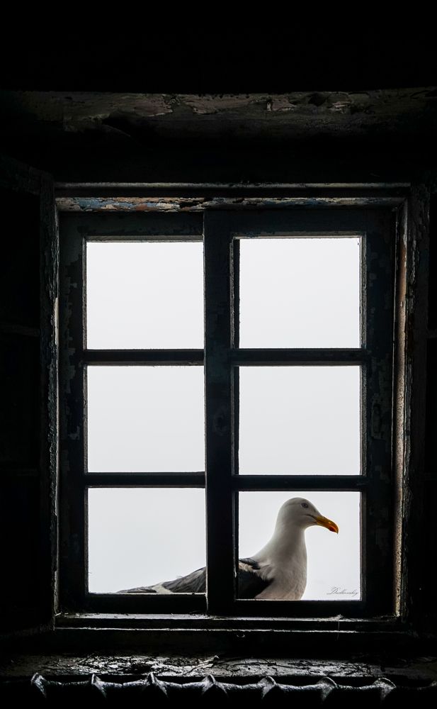 Photograph by Игорь Дудковский