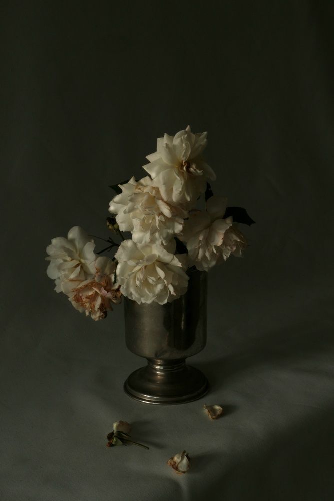Photograph by Елена Измакова