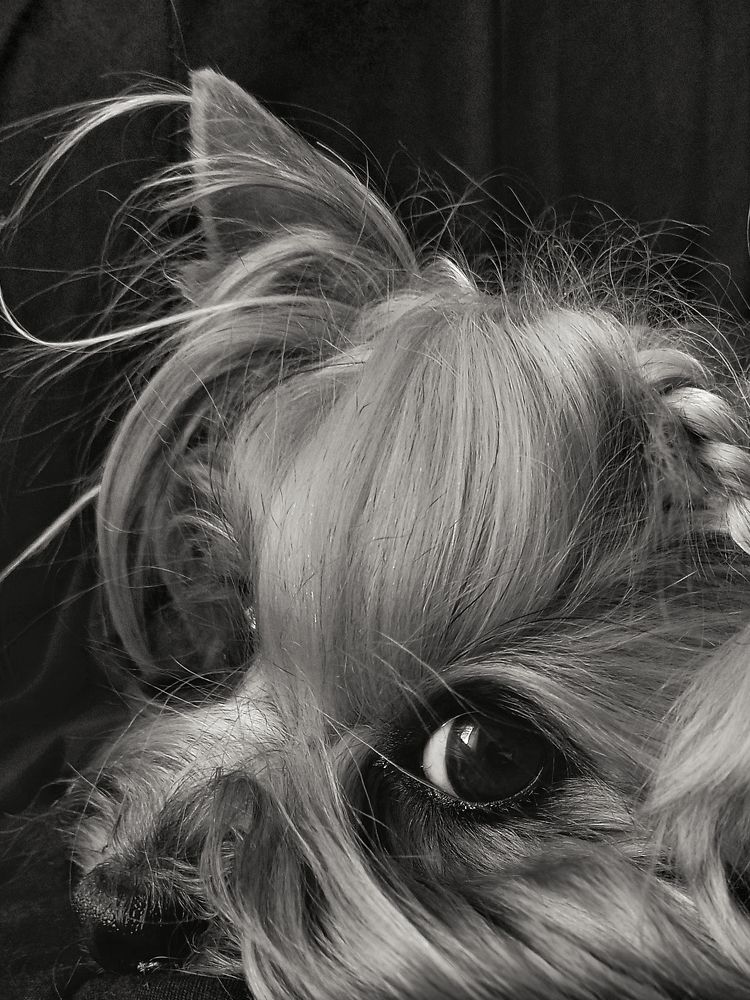 Photograph by Svetlana Yurasova