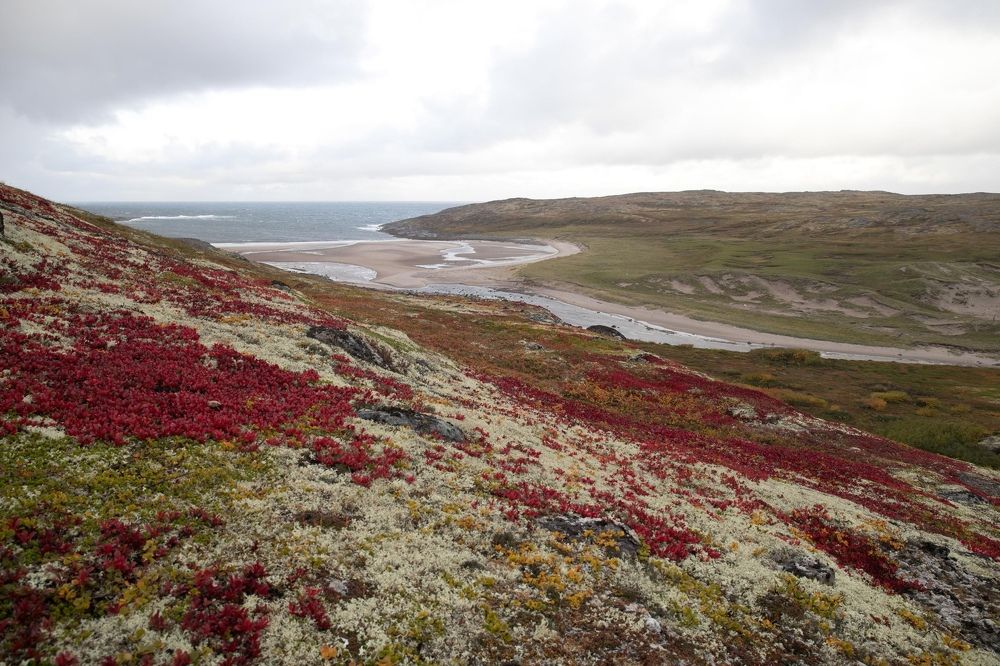 Photograph by Надя Джикурашвили