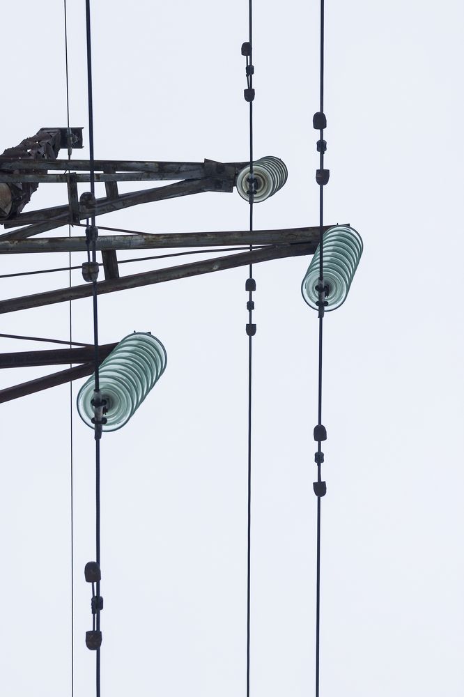 Photograph by Alexandr