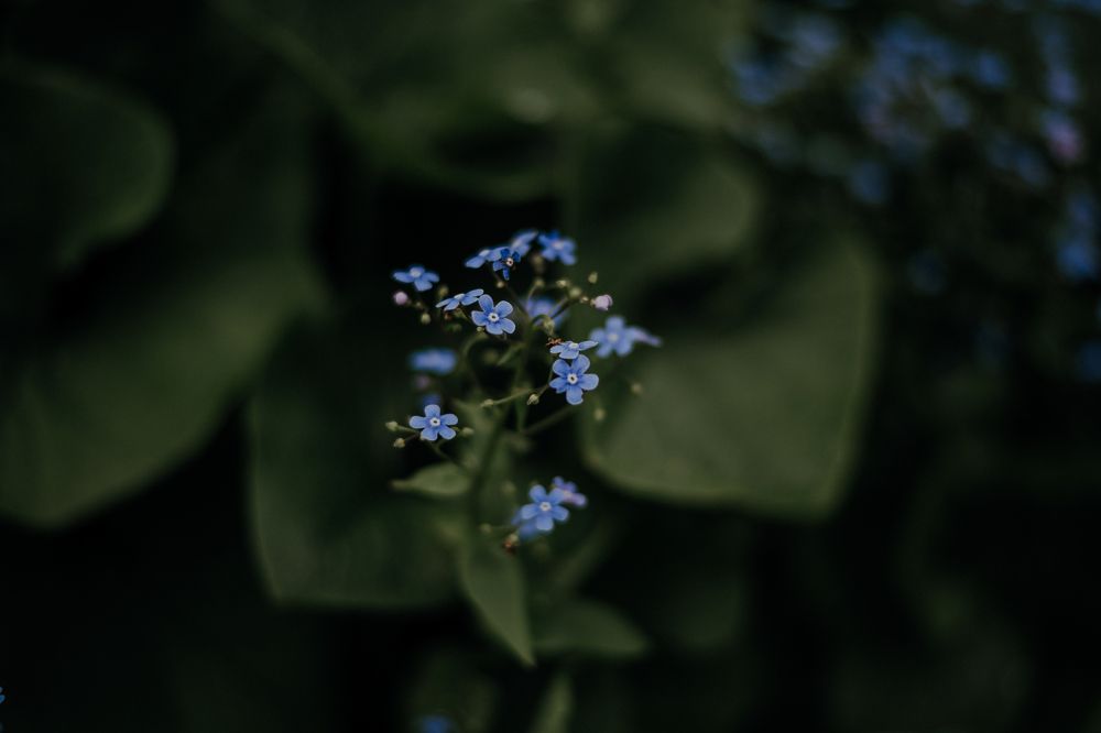 Фотография автора Виктория Воробьева