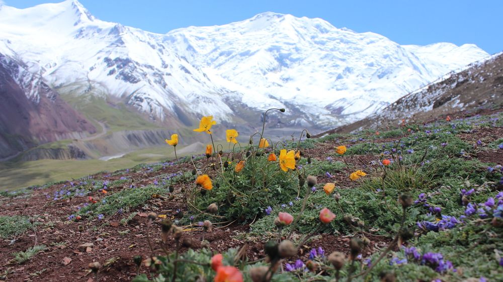 Photograph by Dmitriy Rastorguev