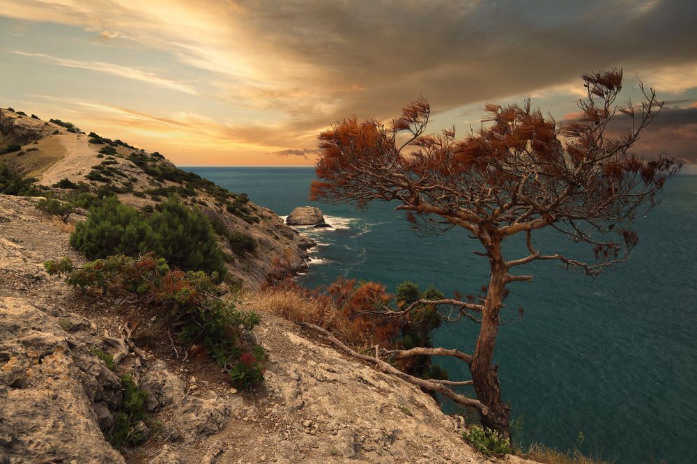 Photograph by Евгения Черентаева