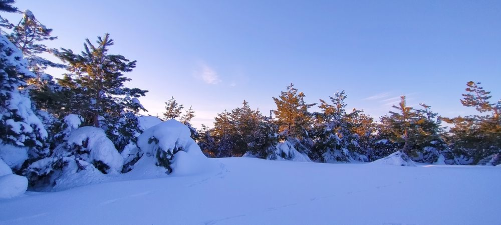 Photograph by Виталий Асташов