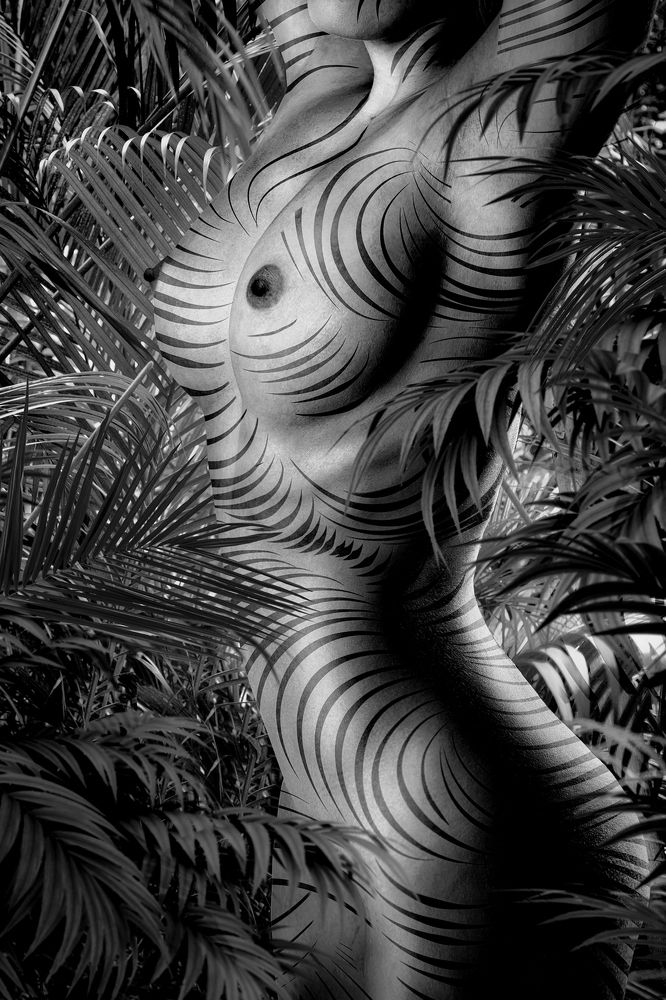 Photograph by Liebrand Kristian