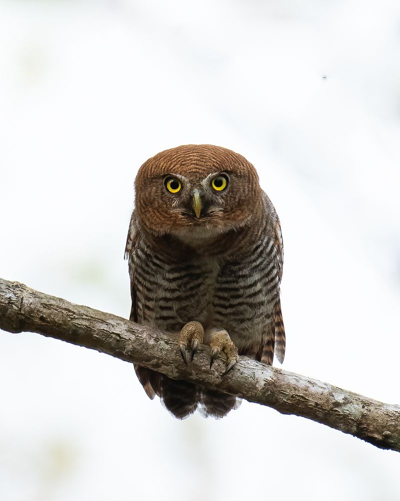 Фотография автора M Anandhu